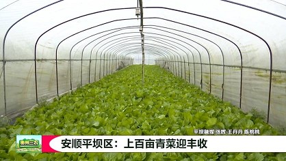 down_眸目压缩.jpg